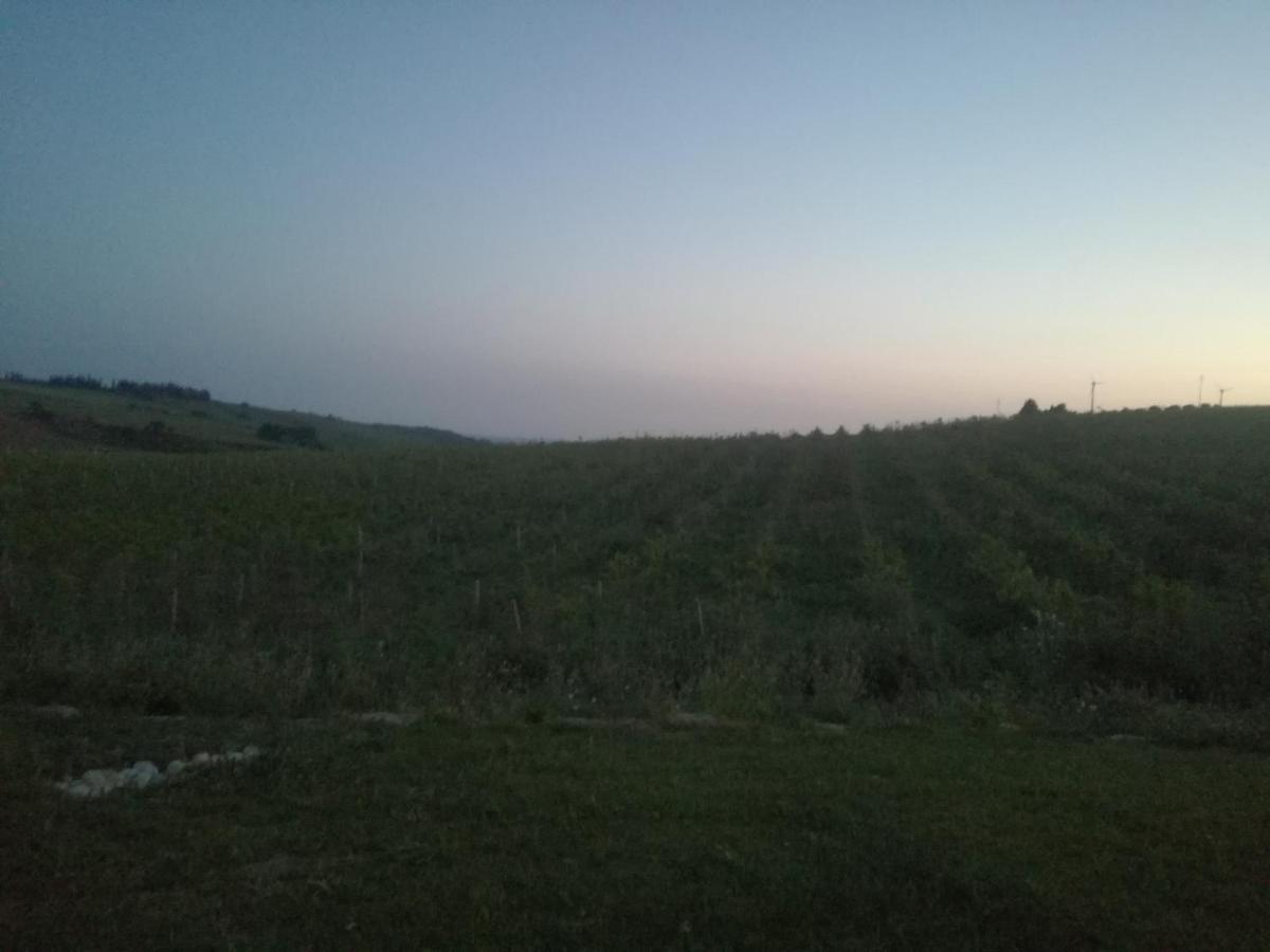 门菲Casa Chardonnay别墅 外观 照片